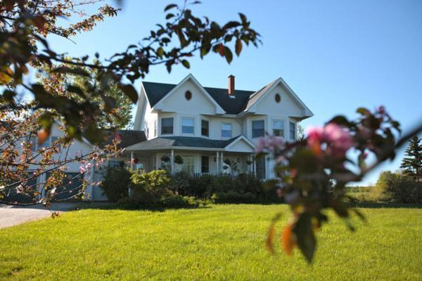 Twin Peaks B&B Mindemoya Buitenkant foto